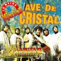 Los Kjarkas - Ave de Cristal