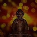 Relajacion Del Mar、Powerthoughts Meditation Club、Musica para Dormir Dream House - Reiki Summit