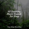 Sleep Baby Sleep、Música De Relajación Para Dormir Profundamente、Relaxed Minds - Autumn Bloom