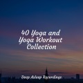 Yoga Music、Amazing Spa Music、Nature Recordings - Serenity Symphony