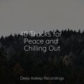 40 Tracks for Peace and Chilling Out