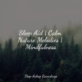 Sleep Aid | Calm Nature Melodies | Mindfulness