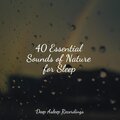Relaxed Minds、Mother Nature Sound FX、Entspannungsmusik - Cool Breeze on a Warm Morning