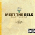 Eels - Fresh Feeling