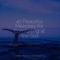 Nature Sound Collection、Yoga Music、Yoga Rain - The Light Shines