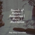 Mother Nature Sound FX、Alpha Brain Waves、Zen Music Garden - Soft and Sweet