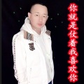 盘锦兵哥 - 你就是仗着我喜欢你