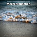 Meeresrauschen für den Urlaub zwischendurch、Naturgeräusche、Meeres Rauschen - Urlaub hinter den Dünen