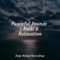 Peaceful Sounds | Reiki & Relaxation