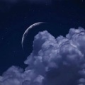 刘承浩 - 上海滩