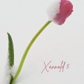 Xannold 5 (feat. Fabe)