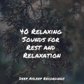 Mother Nature Sound FX、SPA、Sleep Sounds of Nature - A Moonlit Night