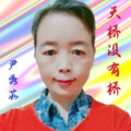 尹秀茹 - 天桥没有桥