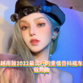 国飞 - 越南鼓2022最流行的重低音抖摇车载舞曲