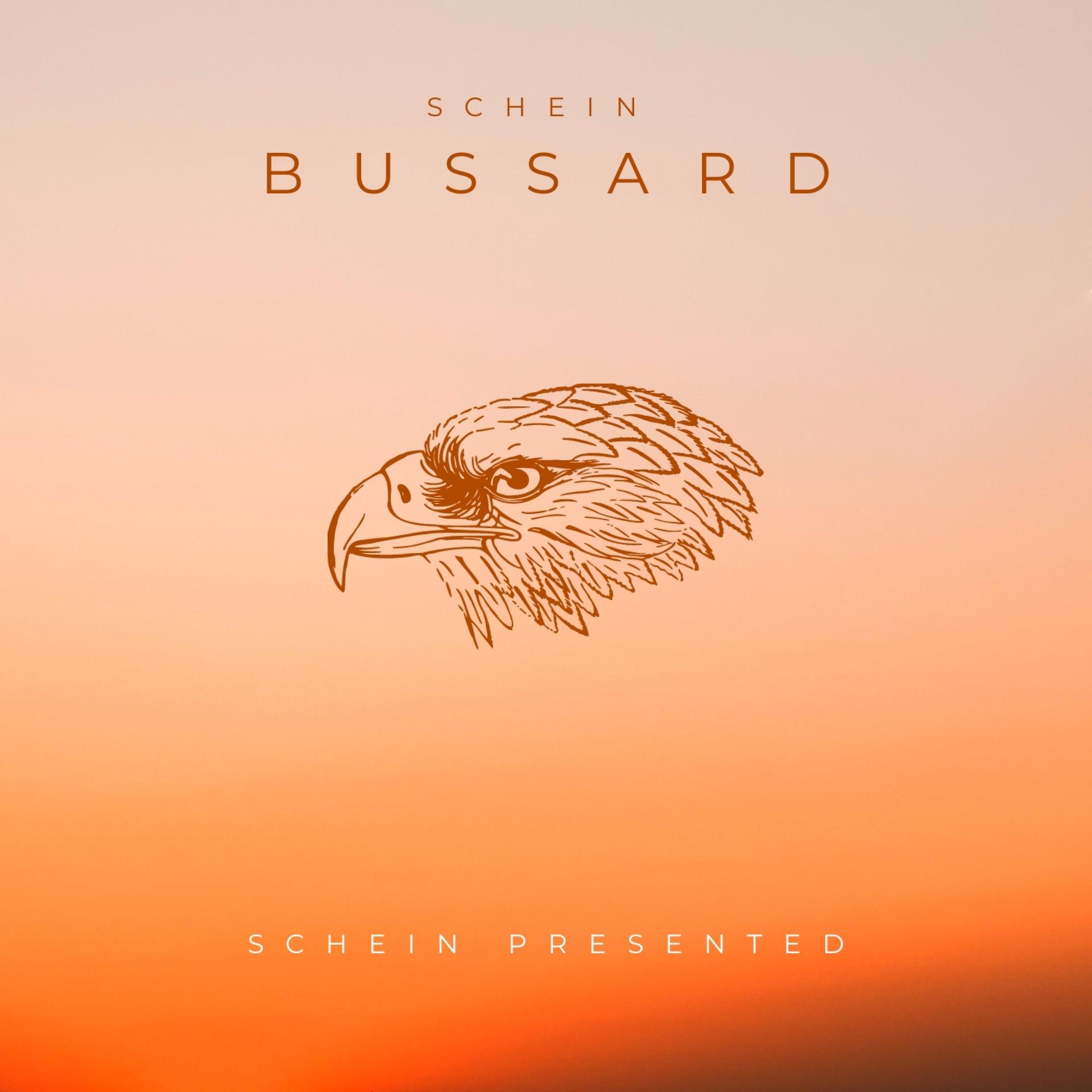 Shiny - Bussard
