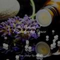 Rest & Relax Nature Sounds Artists、Zen Music Garden、Nature Sound Collection - Through the Mists