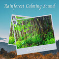 Rain Paris、Relaxing Music Therapy、The Forest Escape - Rain Memories: Rainforest Calming Sound - 1 Hour