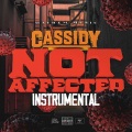 Not Affected Instrumental