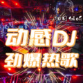 加贝 - 如果爱在心中 (DJ女版)