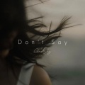 Don't Say