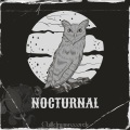 ChillDrumsRecords - Nocturnal