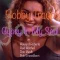 Gypsy In My Soul