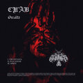 Occulto