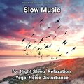 Relaxing Music by Dominik Agnello、Relaxing Spa Music、Yoga - Slow Music for Night Sleep and Relaxation Part 55