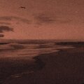 Stray - forever pt. 2 (Explicit)