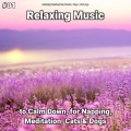 Relaxing Music by Rey Henris、New Age、Yoga - Soothing Music