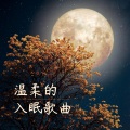 睡眠用 - 帮助睡眠的歌曲