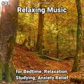 Relaxing Spa Music、New Age、Yoga - Nice Perceptions