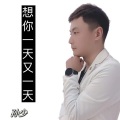 孙少 - 想你一天又一天