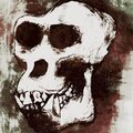 Ol' Gorilla Bones、The Dirty Sample、Rob Roy - The Murderers (Explicit)