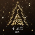 段凯 - 圣诞结