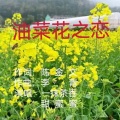 一抹茶香 - 油菜花之恋