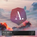 Omaro、Cuesta - Pigmeo (Original Mix)