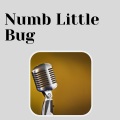 Numb Little Bug
