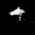Rocc Well - F**k you you're mine