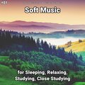 #01 Soft Music for Sleeping, Relaxing, Studying, Close Studying
