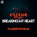 Breaking My Heart (Pulsedriver Remix)