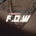 Reggio - F.D.W