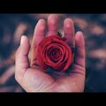 Fuego Maine、Hoodie Chris - My Mind (Explicit)