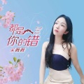 都是你的错 (柔情女声版)