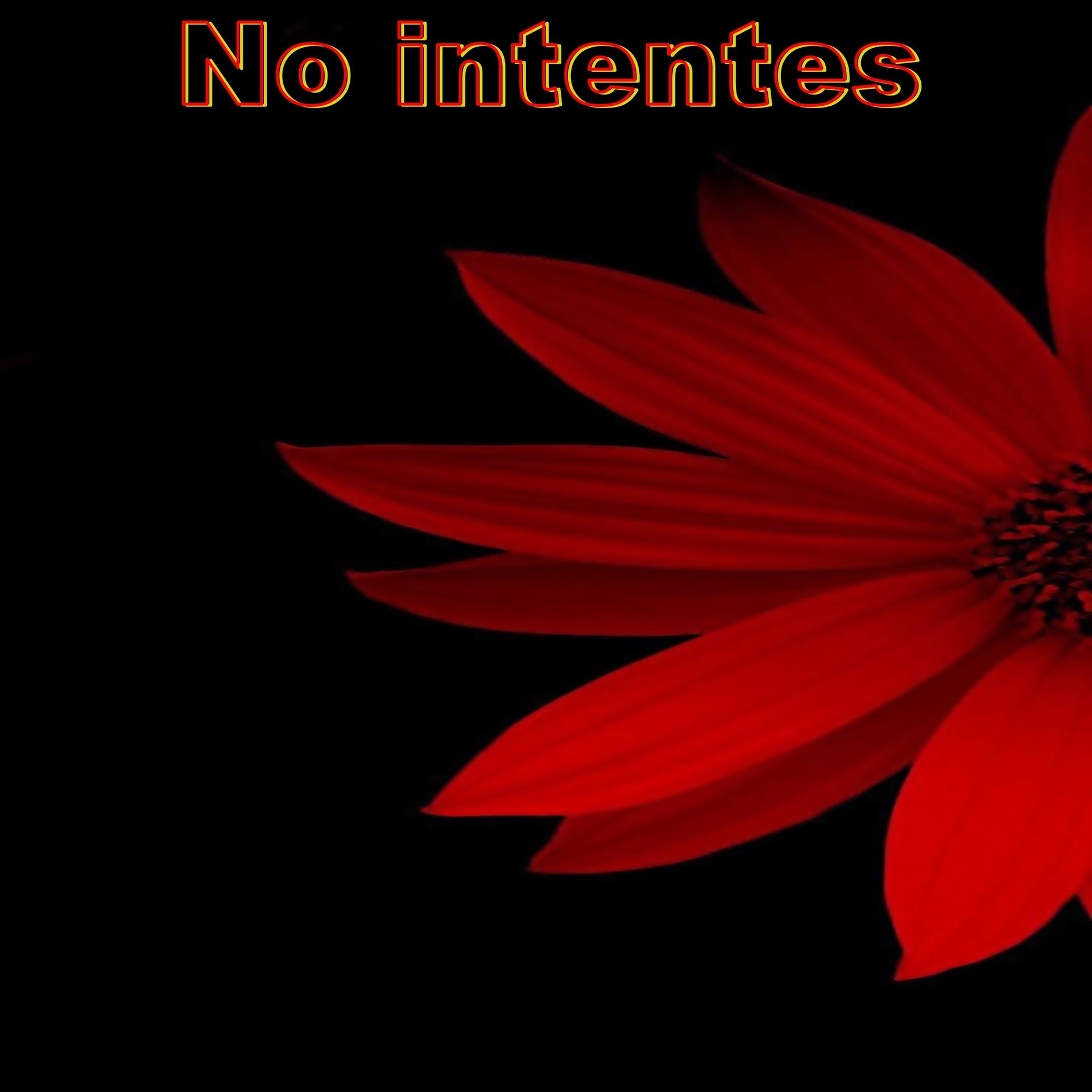 FPR ALTISTA - No intentes