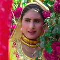Hansii - Rahungi Saath Marte Damtak