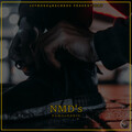 Nania、Damo - NMD’s (Explicit)