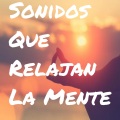 Relajacion Y Meditacion - Musica Pasificas