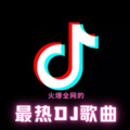 在他乡 (DJ沈念版)