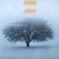 Sina - Vela